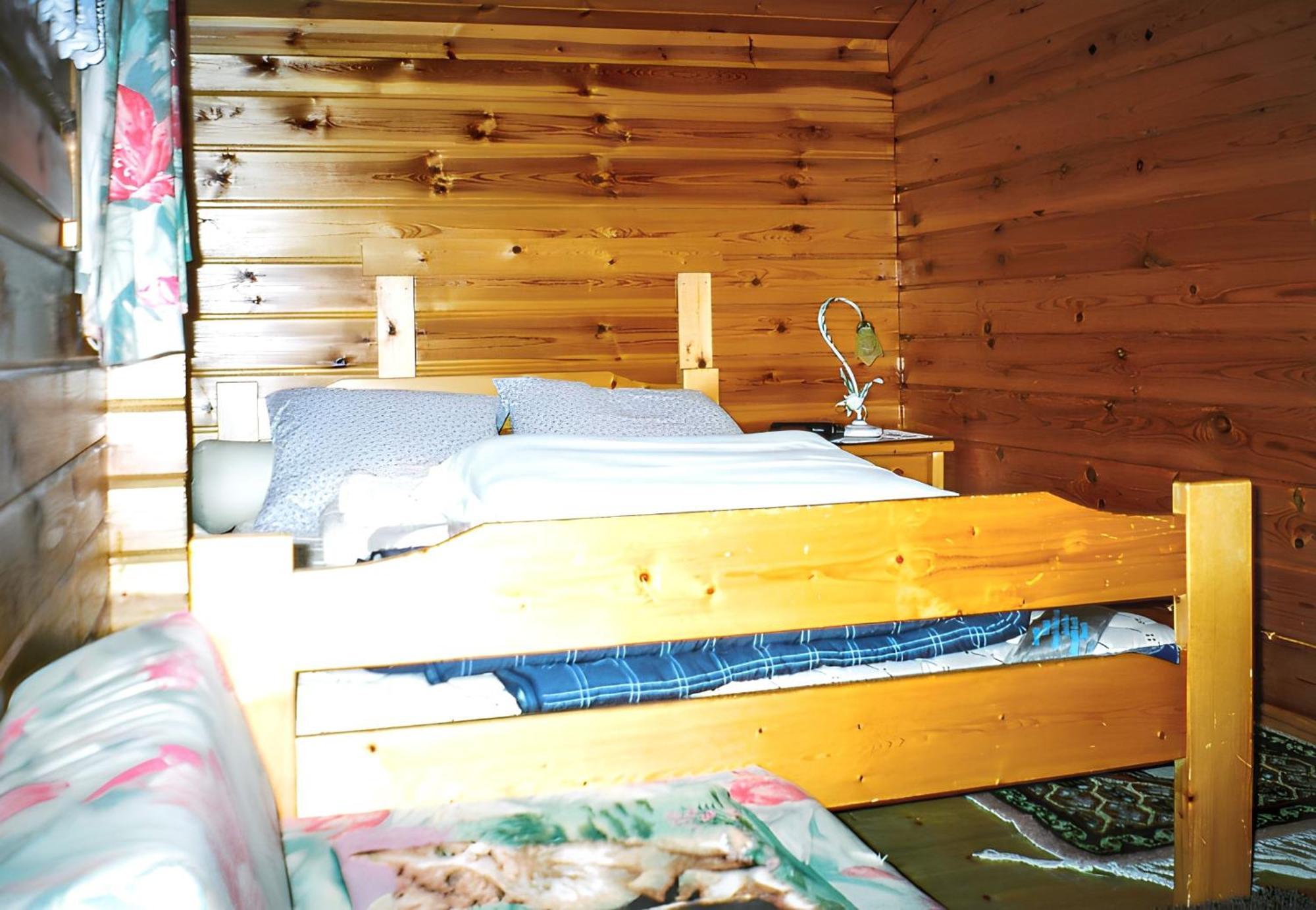 Chalet Cosy A Sixt-Fer-A-Cheval Avec Vue Sur La Montagne Sixt-Fer-a-Cheval Exterior foto